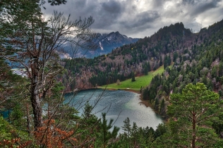 Alatsee