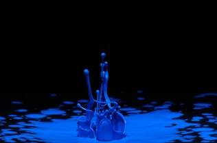 Color in Motion