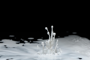 Color in Motion - White
