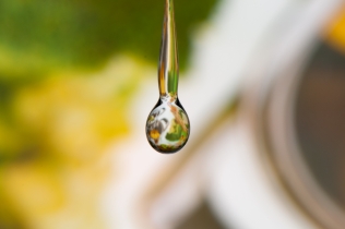 Refraktion / Refraction