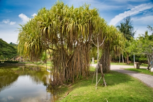 Legend Park