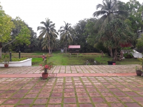 Rice Garden