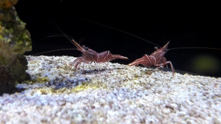 Underwater World