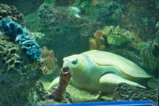 Underwater World