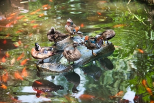 Wildlife Park