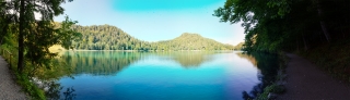 Alatsee