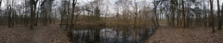 Bruchköbel