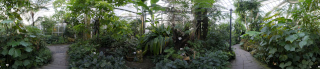 Palmengarten